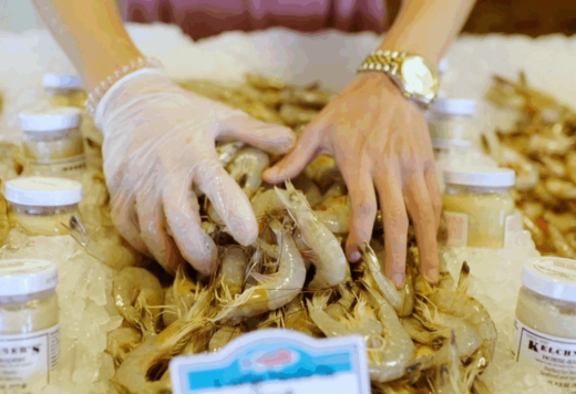 Do You Know Your Shrimp?