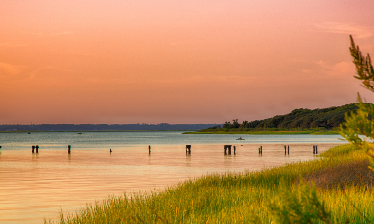 North Carolina’s Cape Fear River….Fisherman’s Utopia