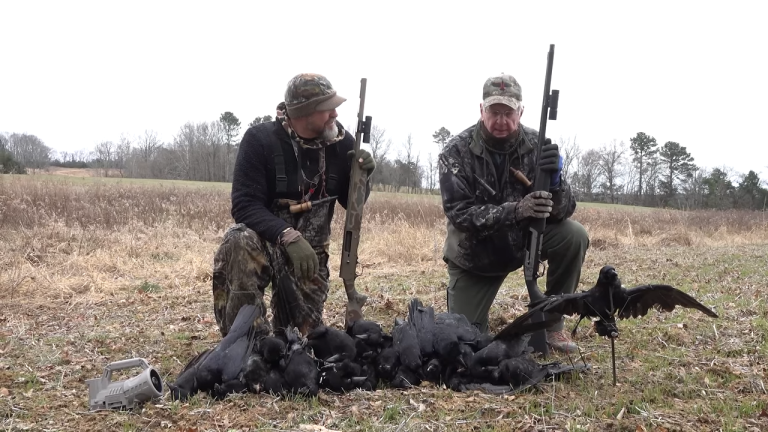 There Were So Many Crows We Didn’t Know Which Way To Shoot!