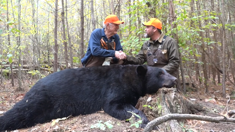 The Gift Of A Bear Hunt! | Carolina ALL OUT