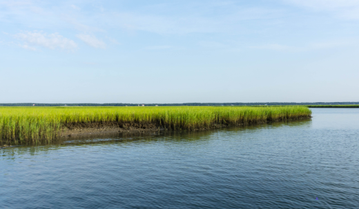 History Behind The Carolina Creeks