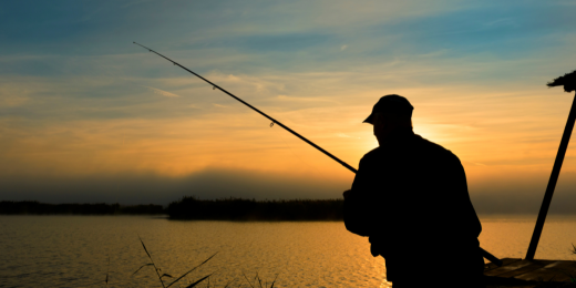 Best Tools & Apps for Monitoring Freshwater Temps