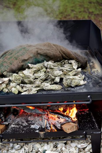 An Oyster Roast at Christmas…. Southern Style