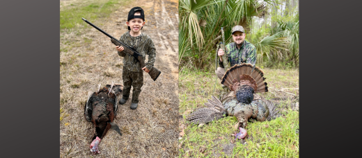 A Complete Guide to Buying the Right Turkey Hunting Shotgun, Including Red Dot Sights