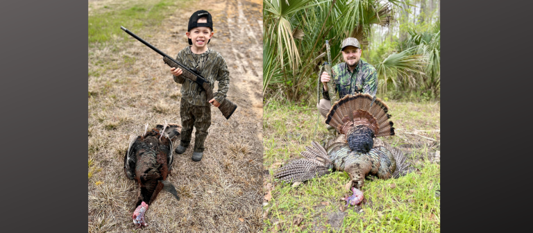 A Complete Guide to Buying the Right Turkey Hunting Shotgun, Including Red Dot Sights