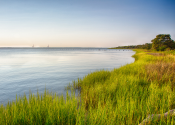 North Carolina’s Fading Estuaries