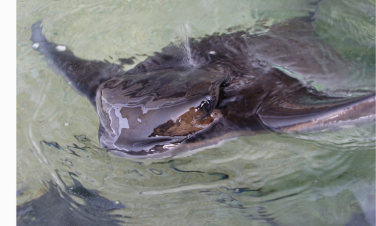 Fishing With Ray……A Day I’ll Never Forget