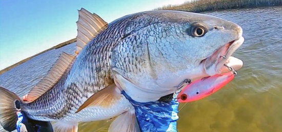 What  Good Anglers Are Doing Differently This Week