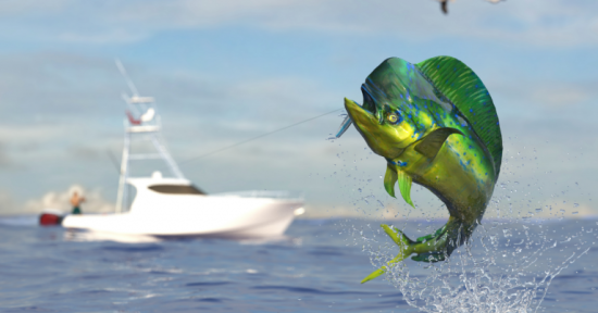 Understanding the Move of The Mahi