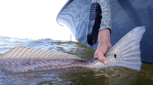 What’s That Sound Under Your Boat?