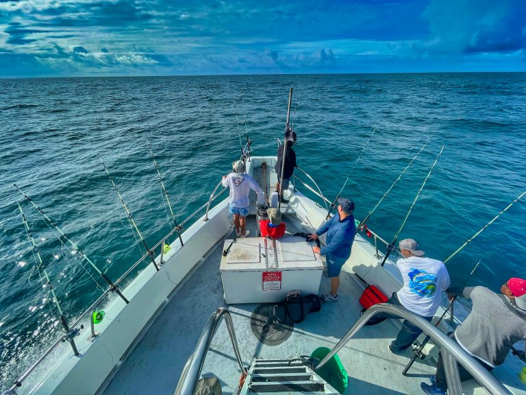 The Carolina Fishing Hotspots