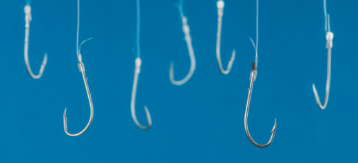 Using the Right  Fish Hook