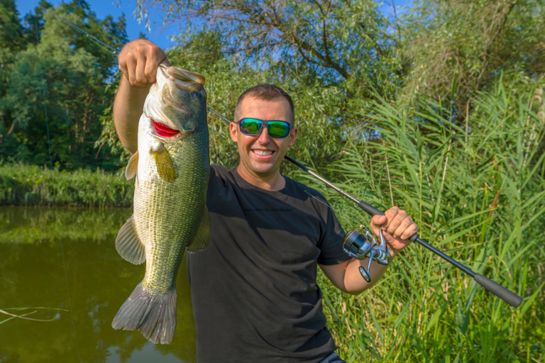 Where Bass Go In Hot Weather