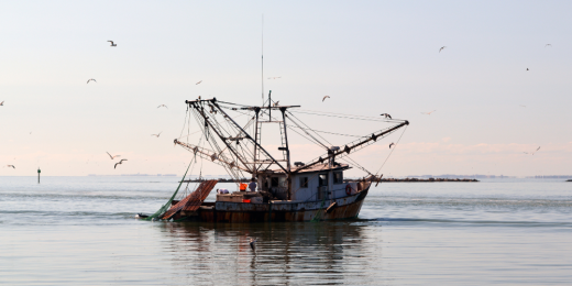 North Carolina Anglers Deserve Better Than Two Weeks…. Flounder Issue Continues