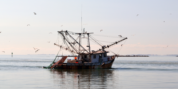 North Carolina Anglers Deserve Better Than Two Weeks…. Flounder Issue Continues