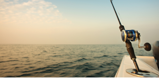 Best Water Temperatures for Popular Inshore Saltwater Species