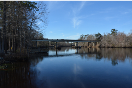 Freshwater Fishing Up The Cape Fear River