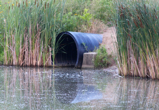 Finding Summer Fish When the Water Heats Up