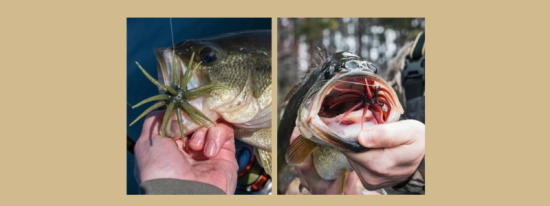 The Hottest Thing On Water…….Product Review: Berkley PowerBait MaxScent ‘Moeba