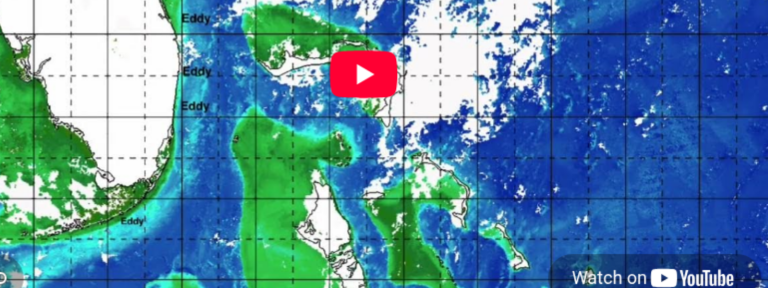 This Week’s Offshore Conditions Forecast
