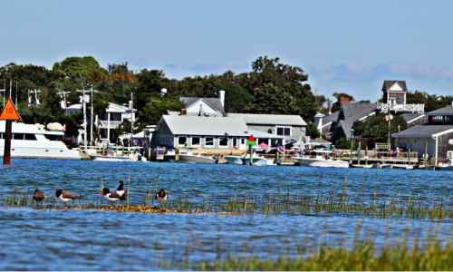 North Carolina Marine Fisheries A System in Trouble: Chapter 5