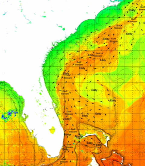 Offshore Ocean Conditions