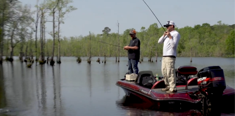 North Carolina Marine Fisheries……A Different Path Forward Chapter 7